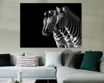 Zebra's van Nicolette Uchtmann