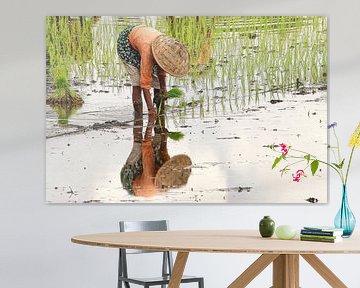 Spiegelbeeld van Rijstplanter van Eduard Lamping