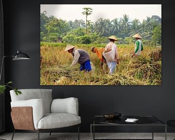 Farmers at the rice harvest by Eduard Lamping