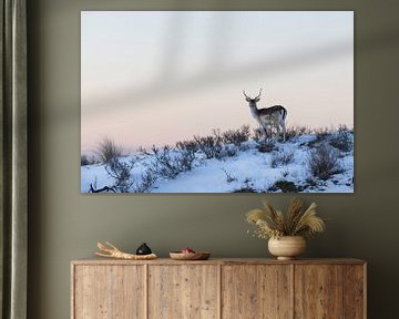 Herten | Damhert in een winterse sfeer vlak na zonsondergang van Servan Ott
