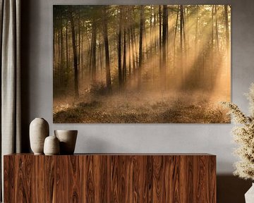 Sonnenlicht durch den Nebel im Wald von Patrick Verhoef