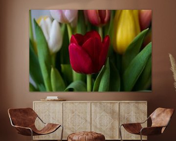 Tulpen, rood, geel, wit en roze. van Ingrid van Wolferen