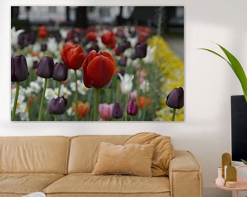 Kleurrijke tulpenweide van Michiel Boeren