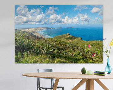 Vue sur le Cap Reinga, Nouvelle-Zélande sur Christian Müringer