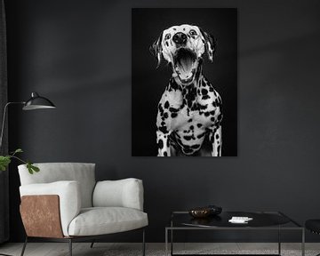 Dalmatiër hond met grappige uitdrukking in zwart wit van Lotte van Alderen