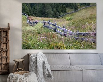 flower meadow with wooden fence