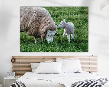 sheep and lamb: spring by jan van de ven