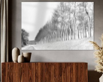 Winter tree dyke by Ellen Driesse