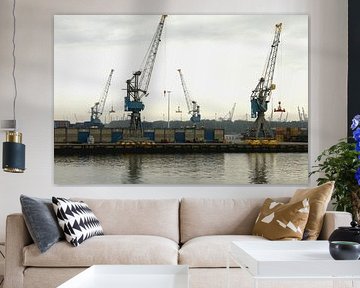 Havenkranen by Carlinde Photos and More