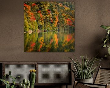 L'étang de Bubble aux couleurs de l'automne sur Henk Meijer Photography