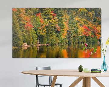 Bubble Pond in Herbstfarben von Henk Meijer Photography