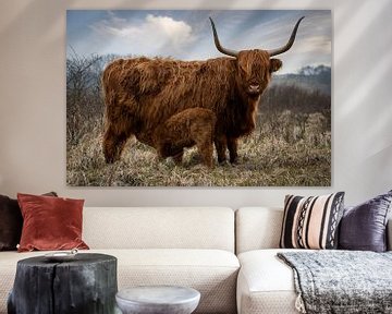 Vache écossaise Highlander avec veau dans une réserve naturelle