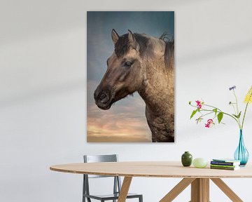 Paard: portret Konik paard