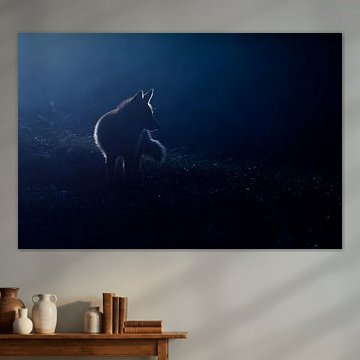 Jagen im Mondlicht von Pim Leijen