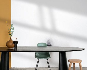 White poodle by Janine Bekker Photography