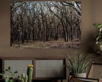 Forêts près de la plage en Zélande sur Louis en Astrid Drent Fotografie