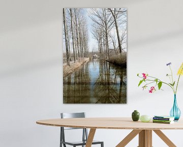 Game of reflection in Puyenbroek - trees and water by Marie-Lise Van Wassenhove
