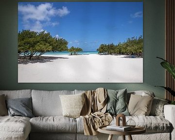 Aruba, boot, blauwe lucht, bomen, wit strand van Joyce Perez