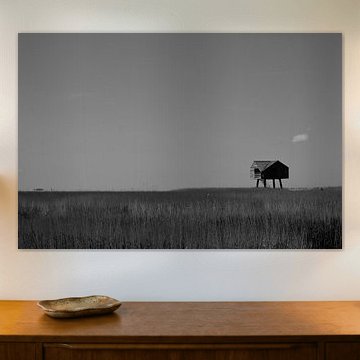 Vogelheim Kiekkaaste , Nieuw Statenzijl