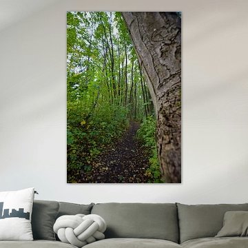 chemin solitaire à travers la forêt