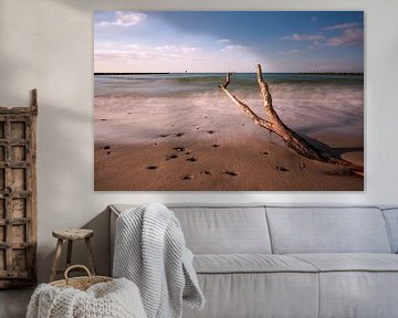 Tree trunk on the coast of the Baltic Sea near Nienhagen by Rico Ködder