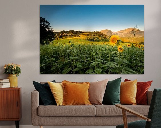 Voorbeeld van het werk in een kamer