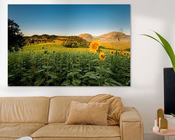 Voorbeeld van het werk in een kamer