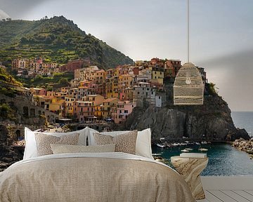 Cinque Terre by Damien Franscoise