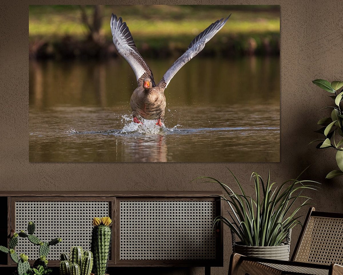 Voorbeeld van het werk in een kamer