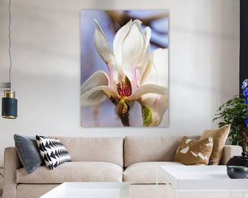 Magnolia van Rob Boon