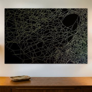 Art de la toile d'araignée sur Danny Slijfer Natuurfotografie