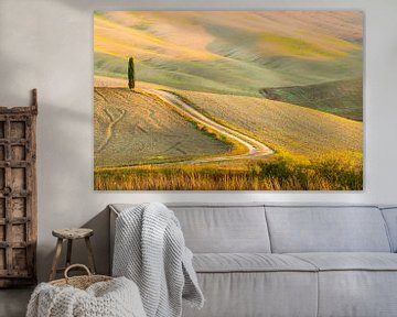 Tuscan hills and cypresses by Damien Franscoise