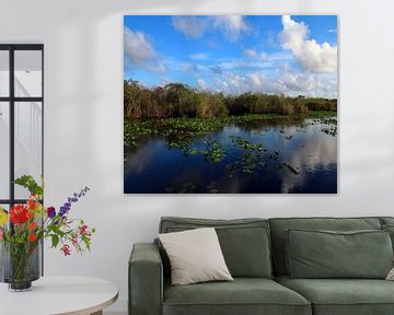 Everglades Serenity van Christiane Schulze