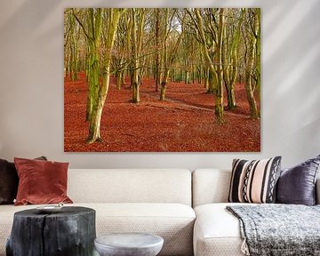 Beech Forest with Leaves by Caroline Lichthart