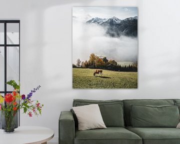 Koe voor het mistige dal boven Hollersbach im Pinzgau van Daniel Kogler