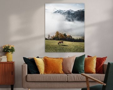 Koe voor het mistige dal boven Hollersbach im Pinzgau van Daniel Kogler