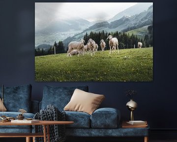 Sheep in the green meadow in Pinzgau by Daniel Kogler