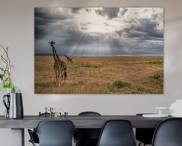 Giraffes van BL Photography