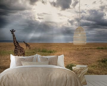 Giraffes van BL Photography