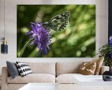 Vlinder op bloem van Fotos by Jan Wehnert