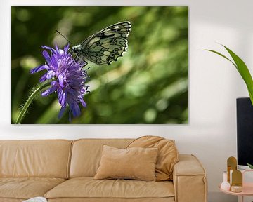 Schmetterling auf Blume von Fotos by Jan Wehnert