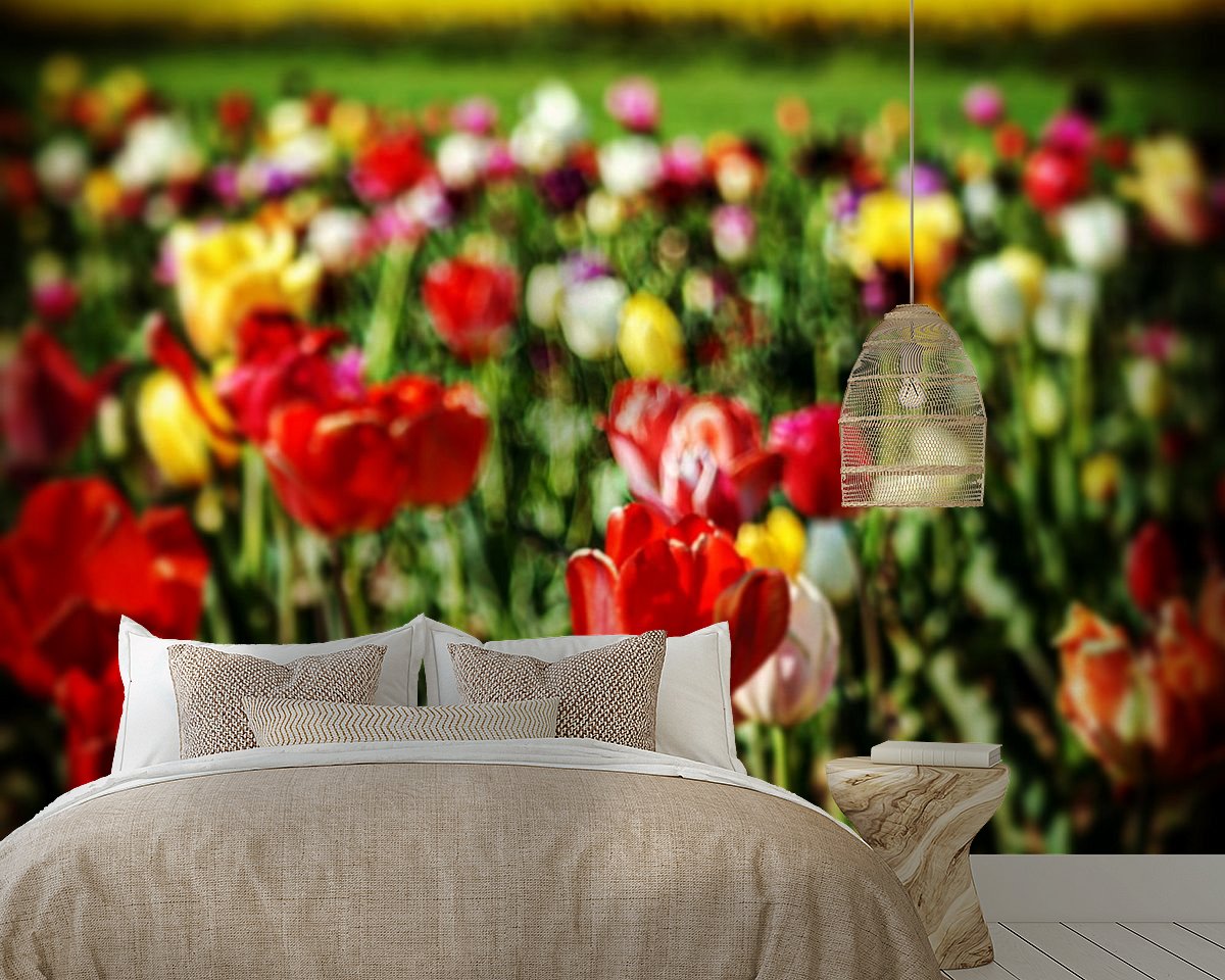 Raumvorschau