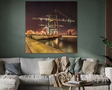 Containerterminal Kran mit Kraftwerk auf dem Hintergrund, Antwerpen 2