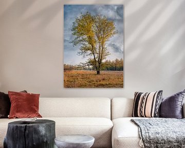 Eenzame boom in de herfst kleuren en blauwe hemel met wolken, Nederland van Tony Vingerhoets