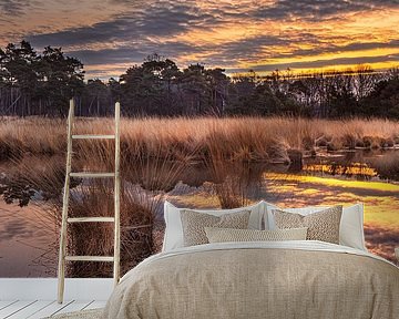 Sunrise met dramatische wolken weerspiegeld in een rustige wetland van Tony Vingerhoets