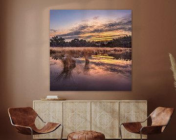 Zonsopgang met dramatische wolken weerspiegeld in een rustige wetland 3