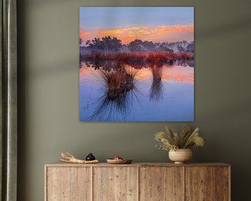 Sunrise with blue sky and dramatic clouds reflected in a lake by Tony Vingerhoets