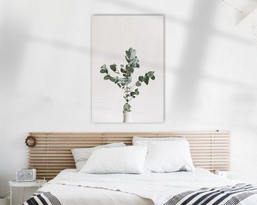 Eucalyptus takken | Botanische foto | Plant | Groen | Bladeren | Minimalistisch