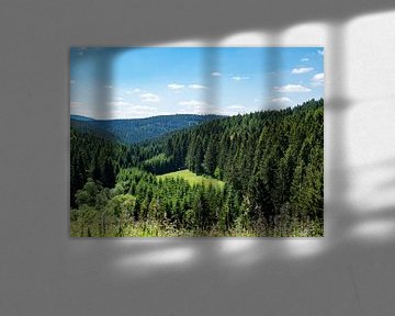 Blick über den Thüringer Wald in Deutschland von Animaflora PicsStock