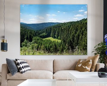 Blick über den Thüringer Wald in Deutschland von Animaflora PicsStock